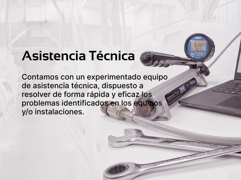 Asistencia Técnica